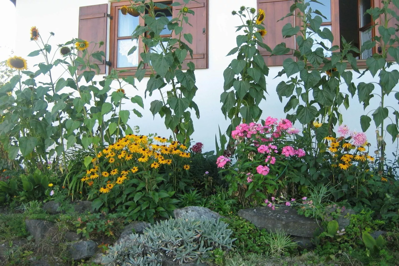 Im Pfaffenwinkel-Gardens summer