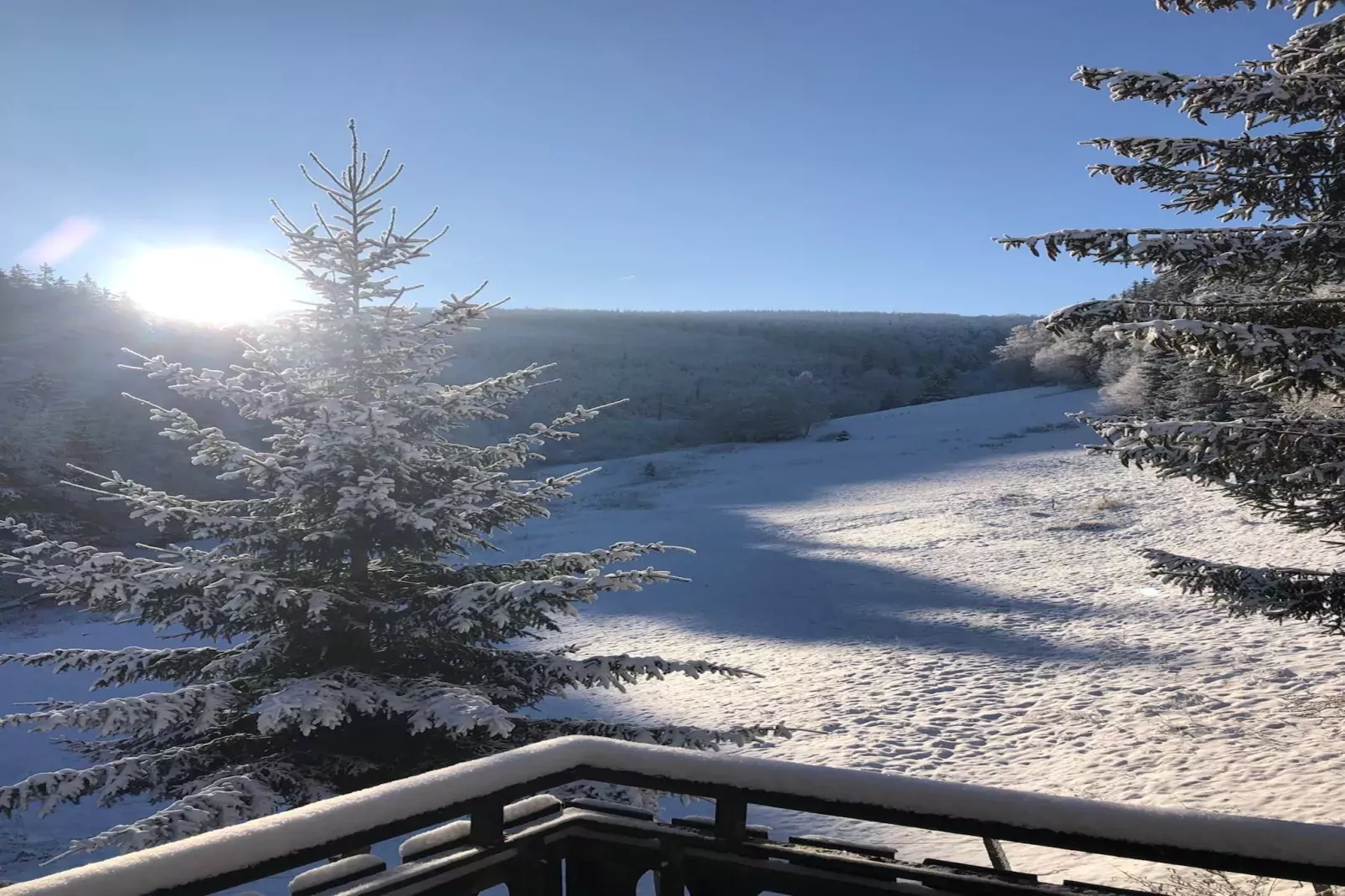 Lodge Winterberg-Garden winter