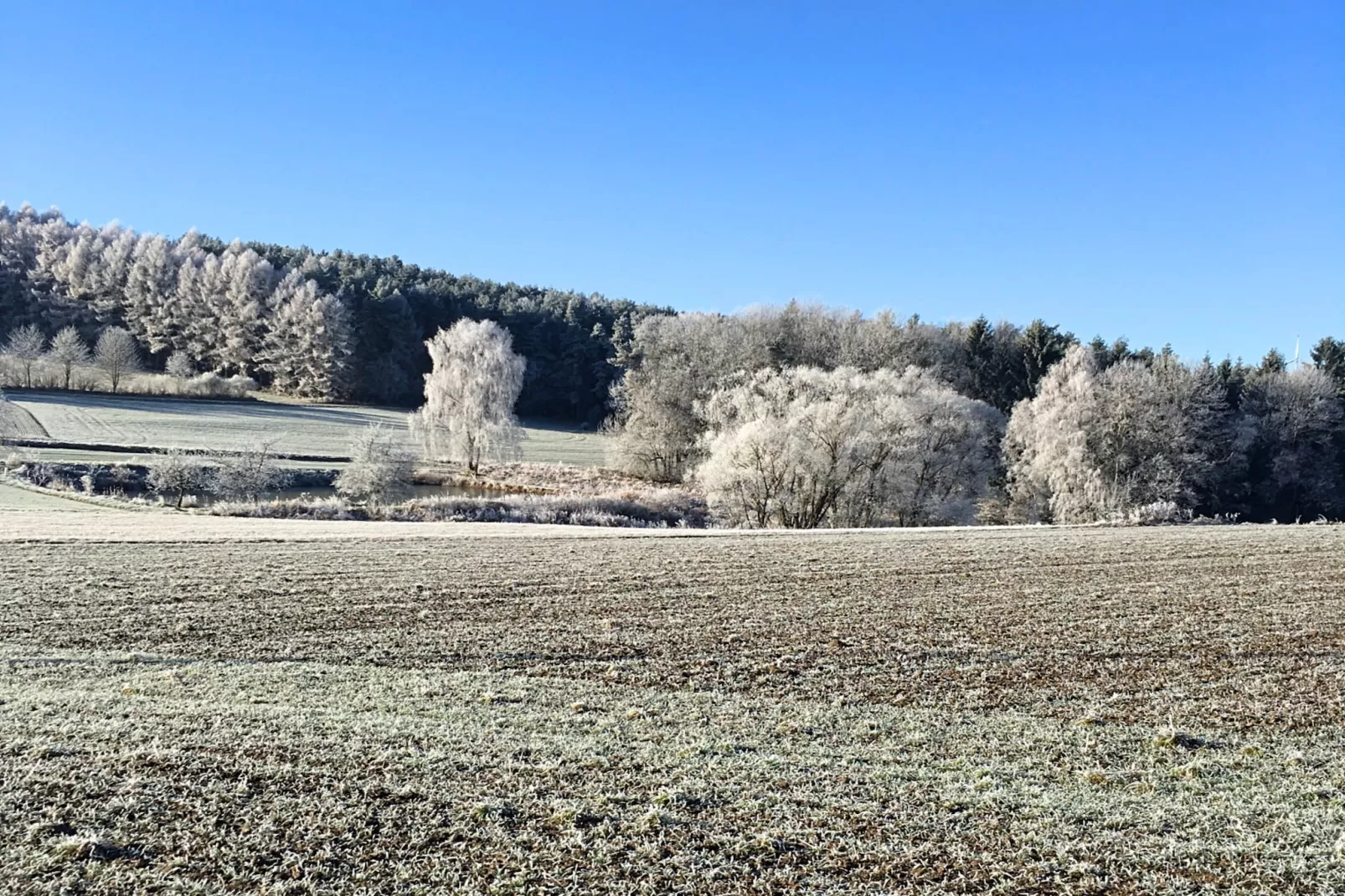 Has'n Res-Area winter 1km