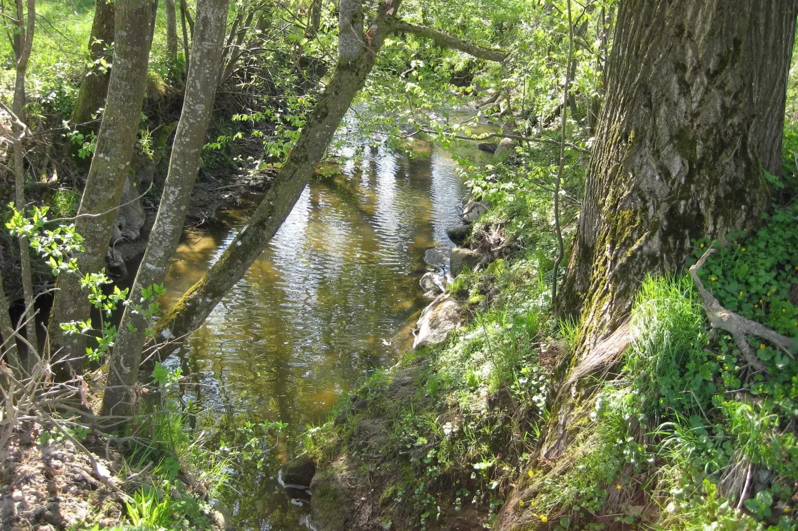 Am Ferienhof-Gebiete Sommer 5 km