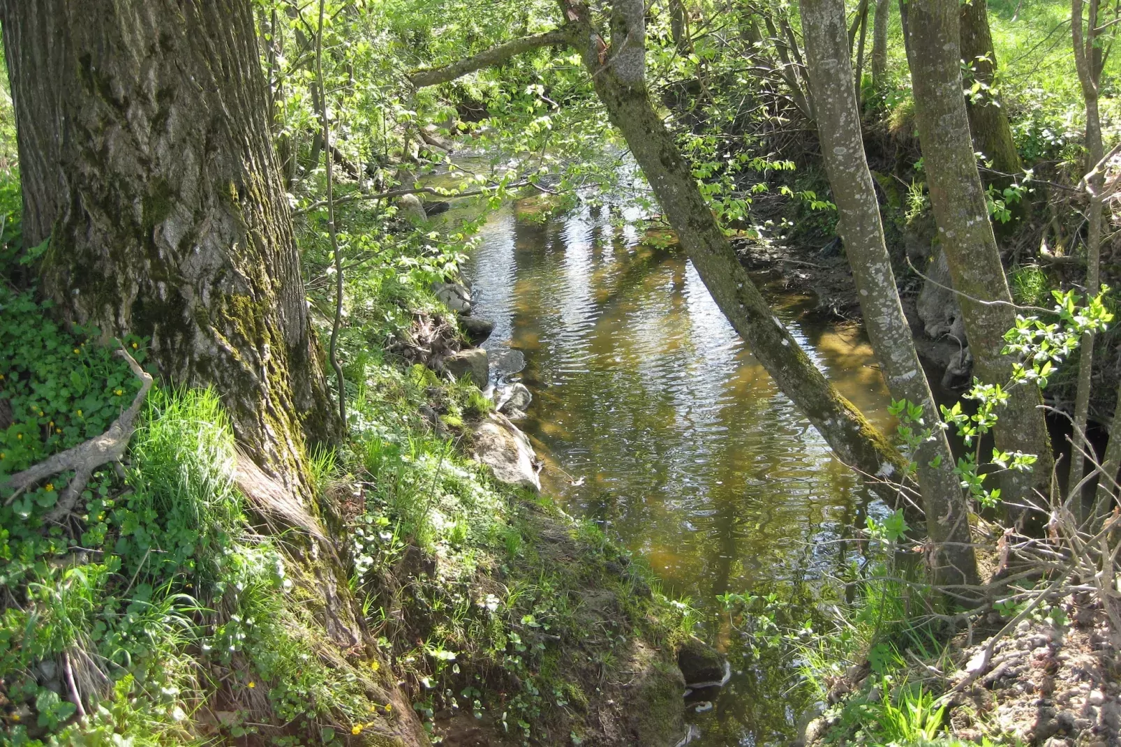 Am Ferienhof-Gebiete Sommer 5 km