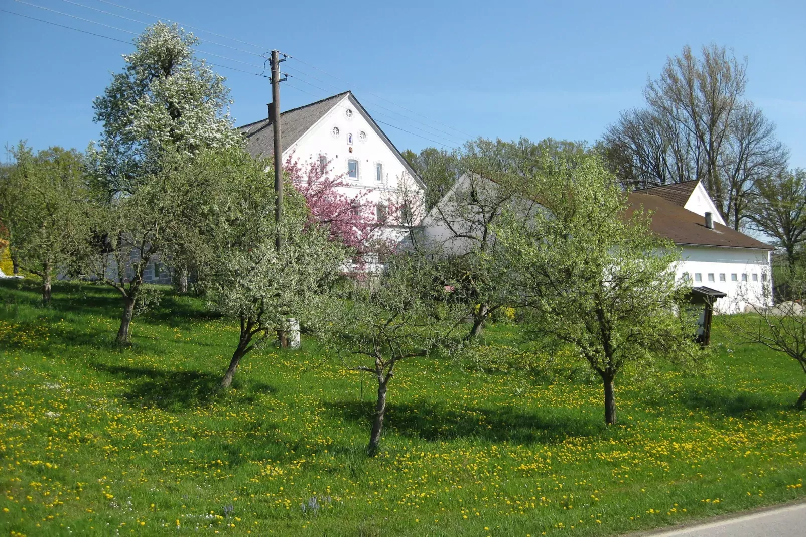 Am Ferienhof-Außenbereich Sommer