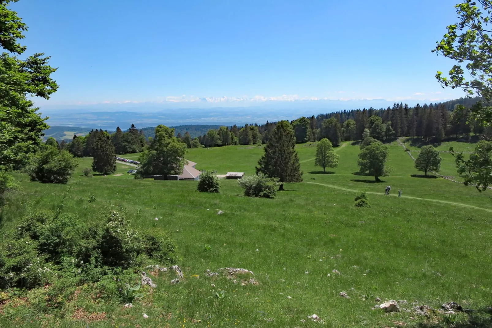 Poesie-Areas summer 5km