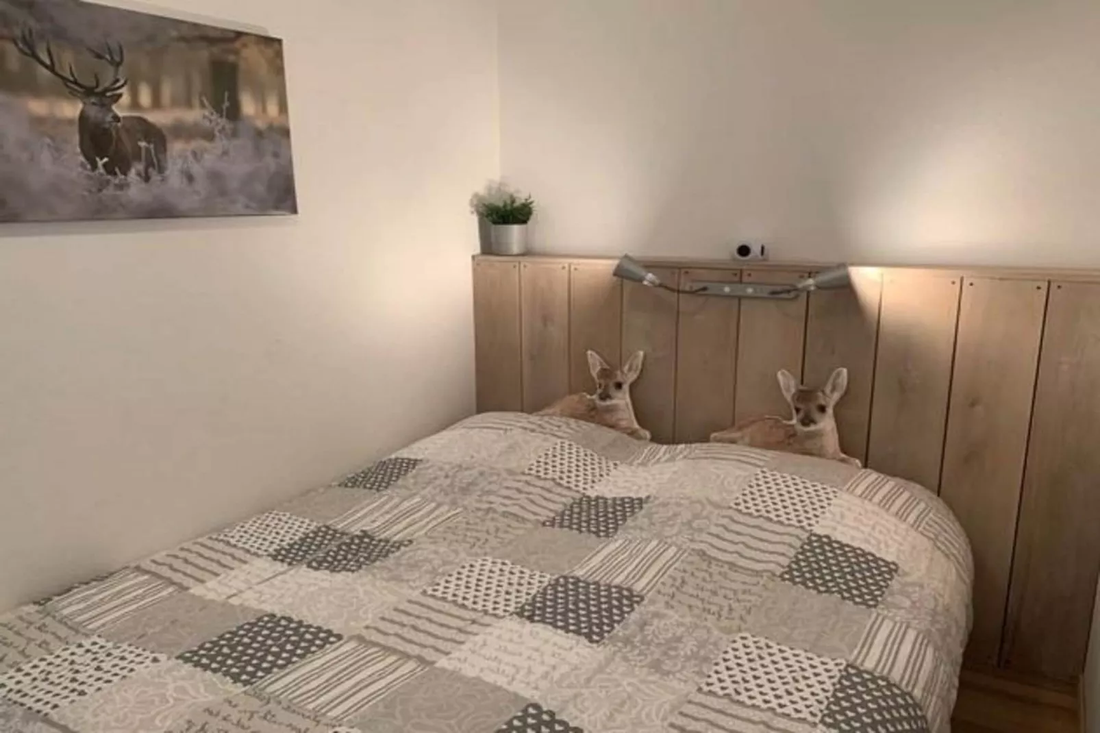 Apartment Rothaarsteig-Bedroom