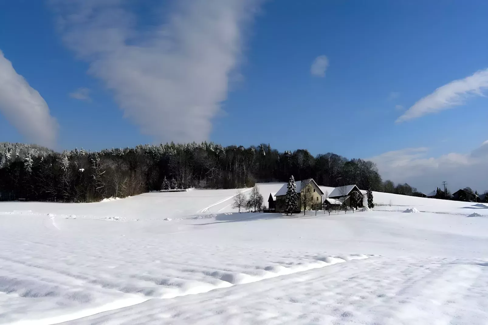 Sonnenhügel-Gebiet Winter 20 km