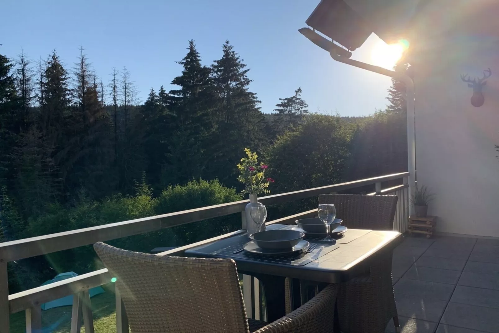 Apartment Rothaarsteig-Terrace balcony