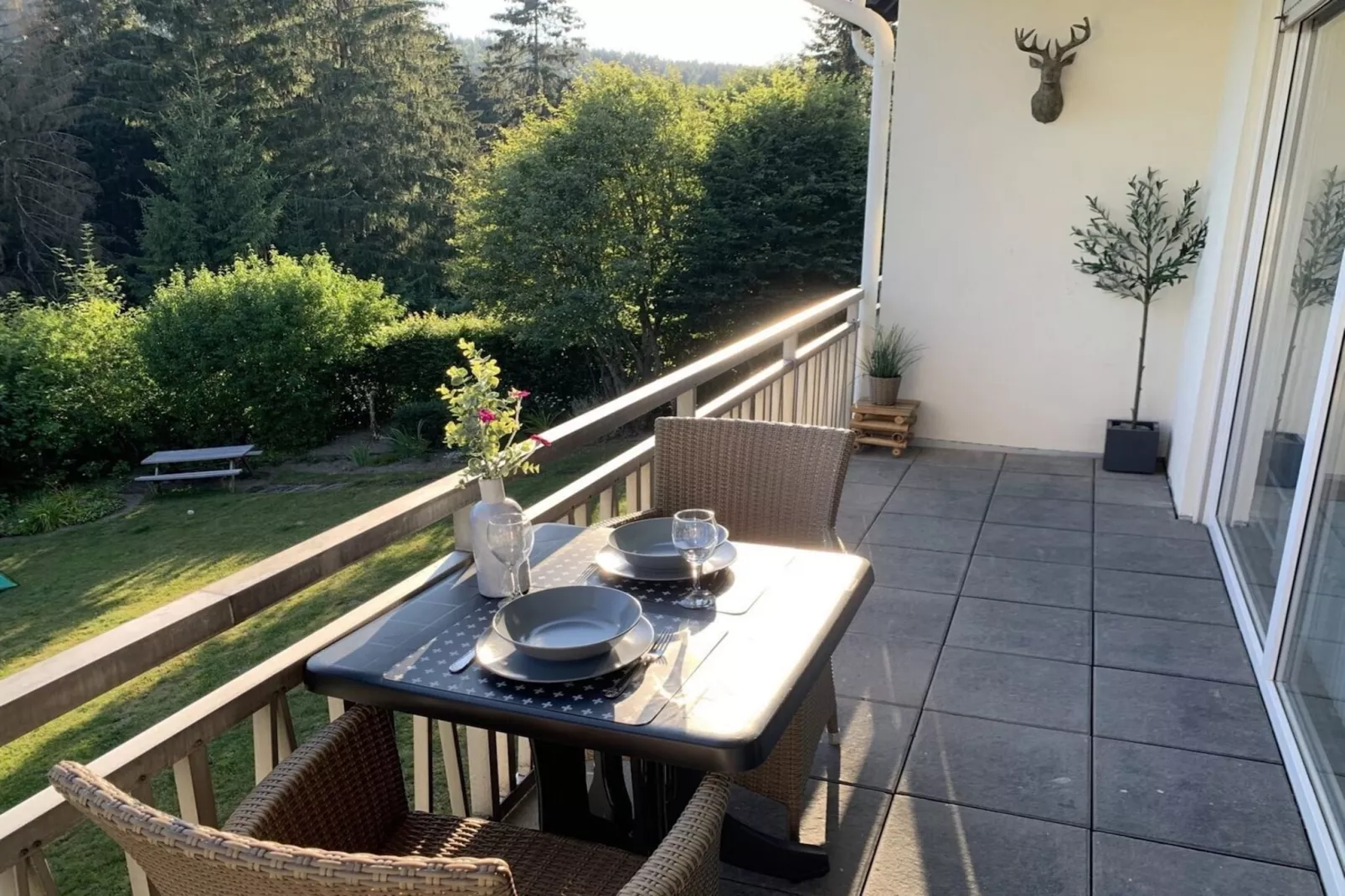 Apartment Rothaarsteig-Terrace balcony