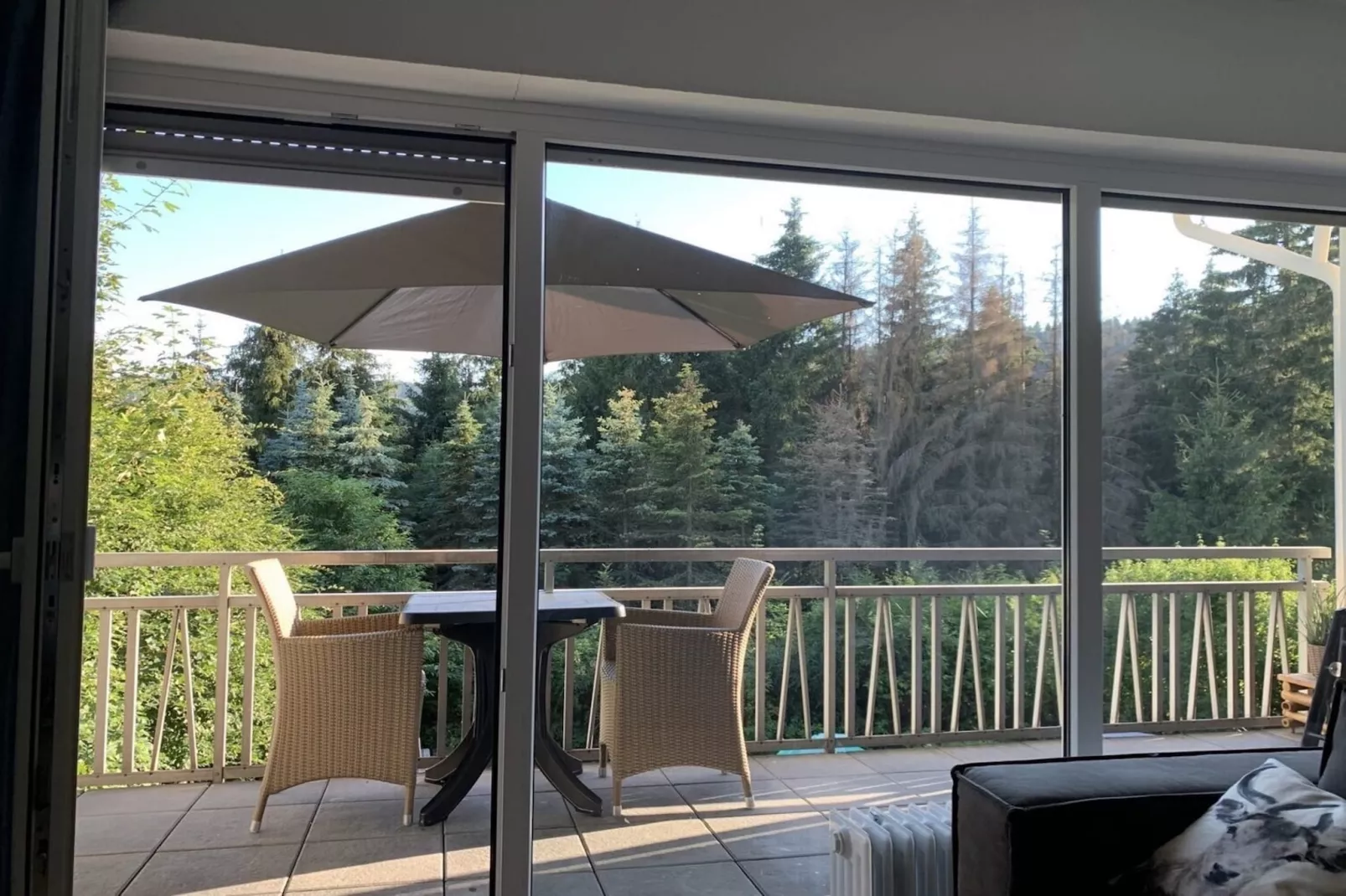 Apartment Rothaarsteig-Terrace balcony