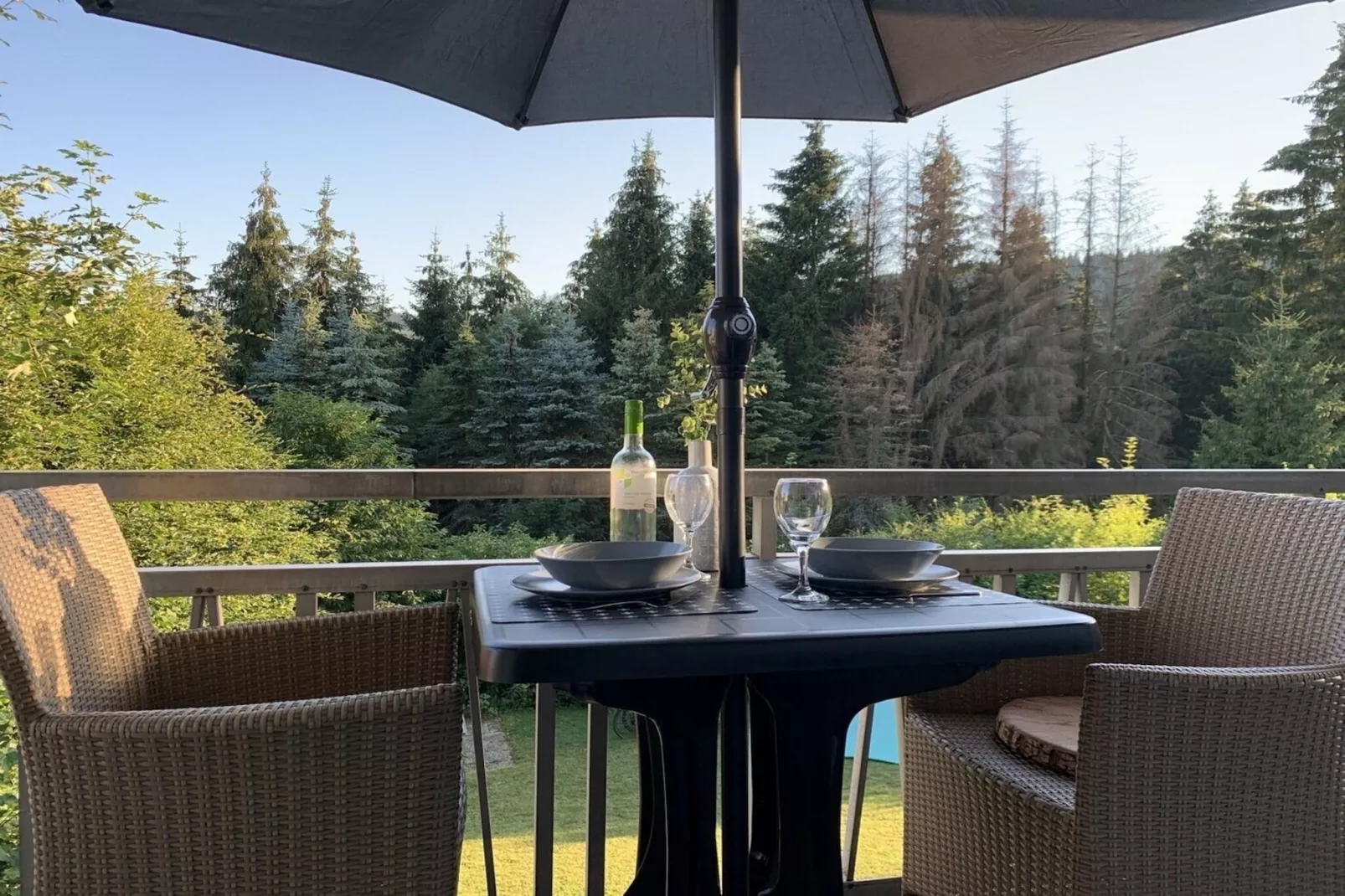 Apartment Rothaarsteig-Terrace balcony