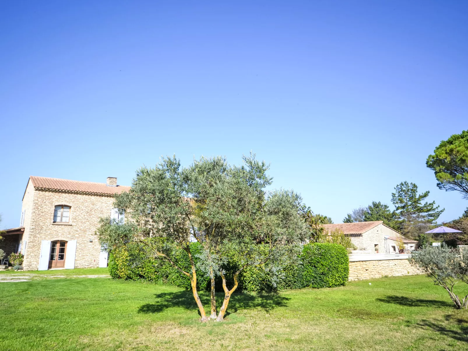 Le Platane-Outside