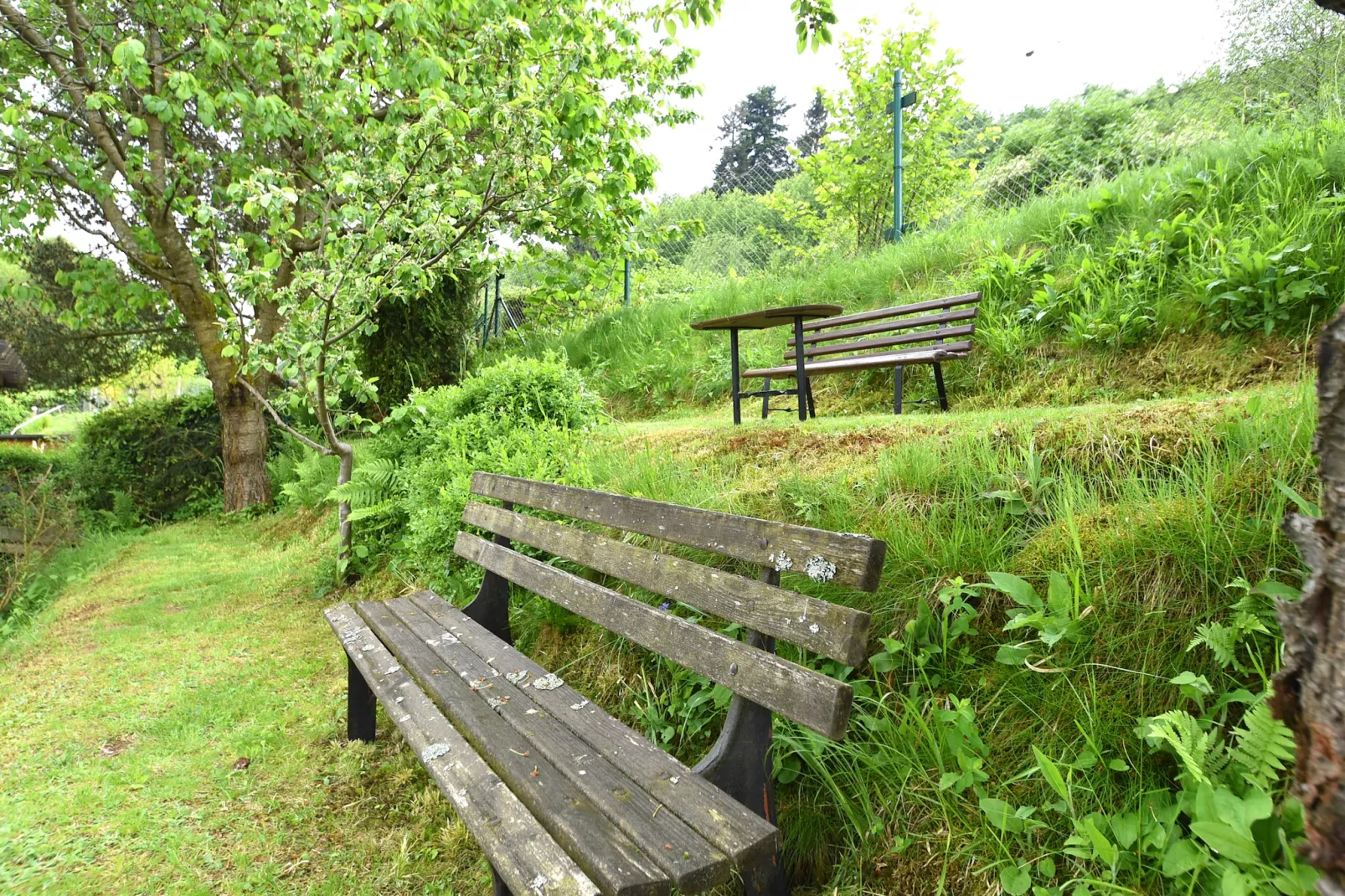 Am Heidelberg-Gardens summer