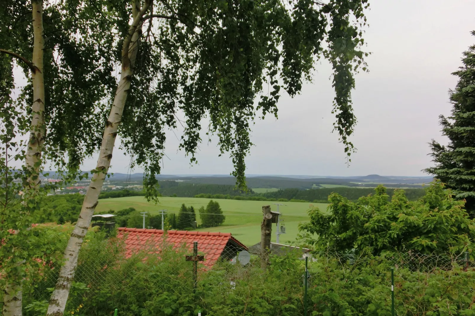 Am Heidelberg-View summer