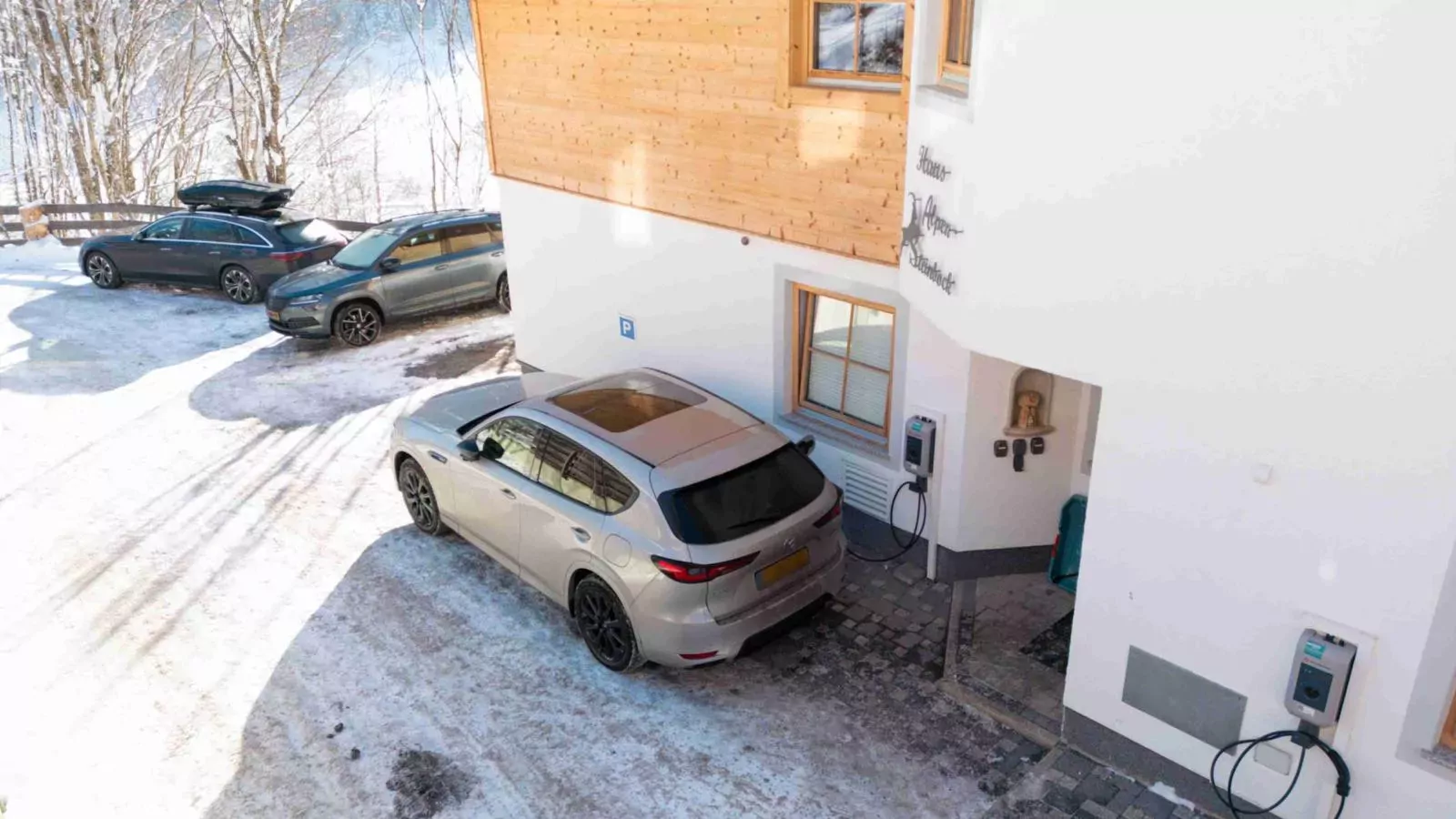 Alpensteinbock Saalbach D-Facilities