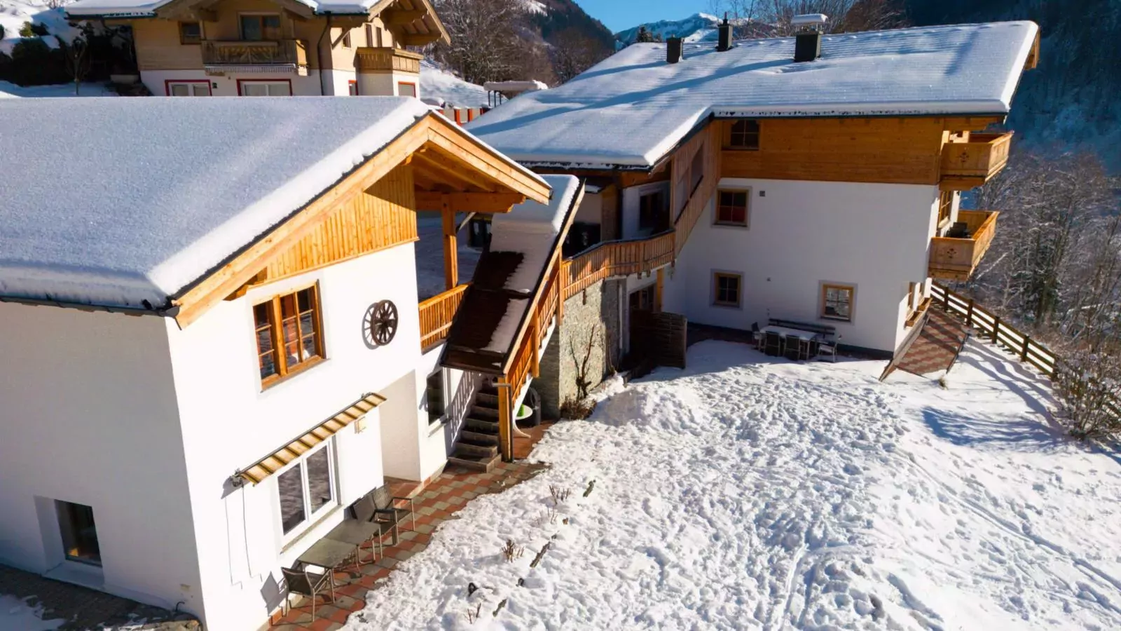 Alpensteinbock Saalbach B