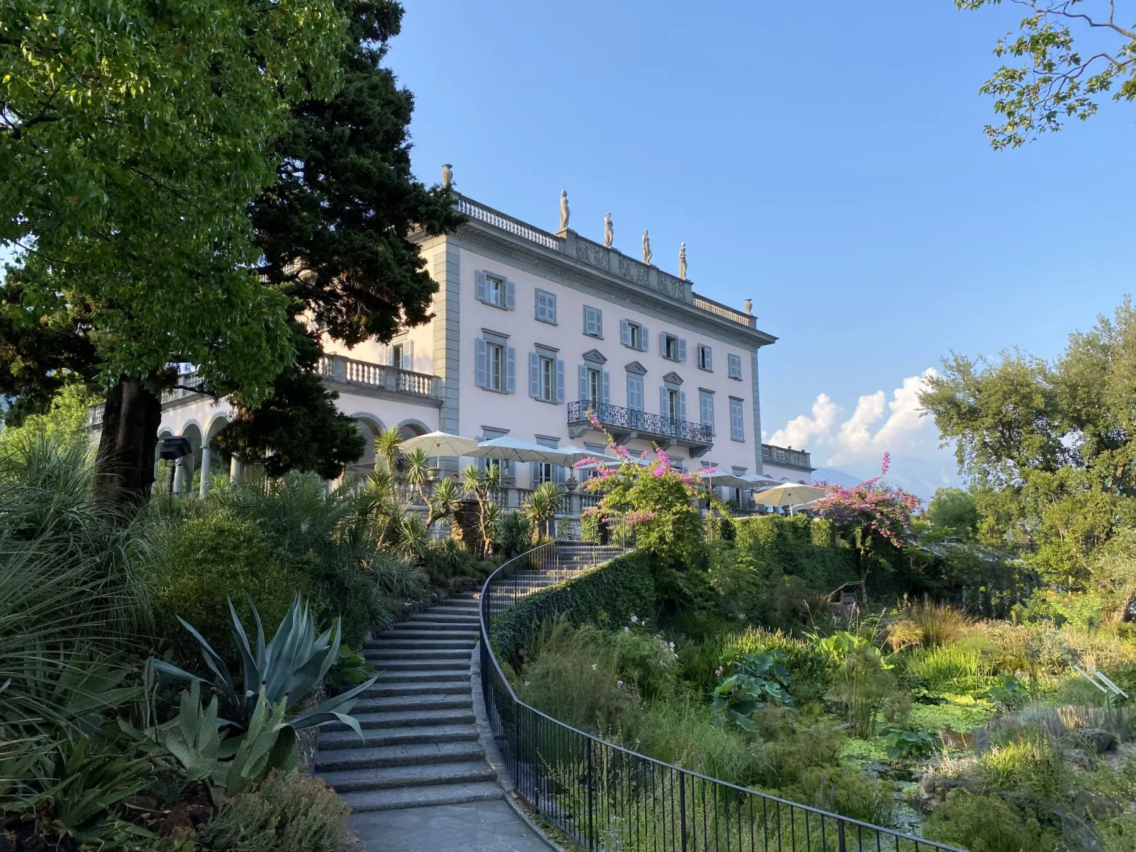 Robinia-City