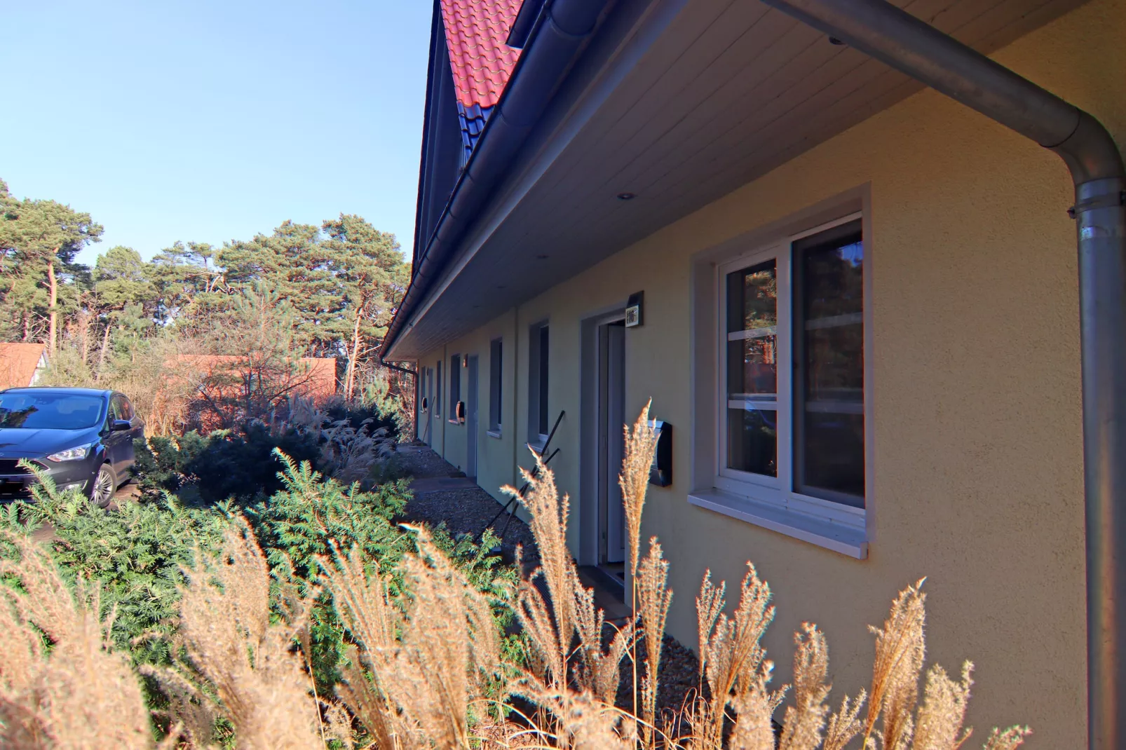 Dünenwaldhaus Rechts-Exterior winter