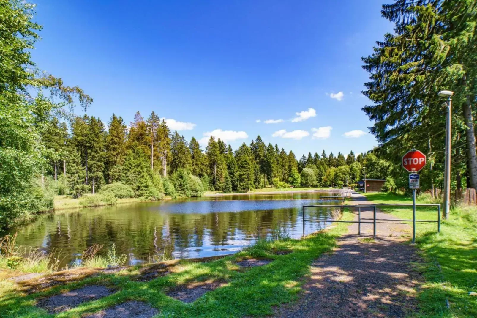 Am Rennsteig-Gebiete Sommer 5 km