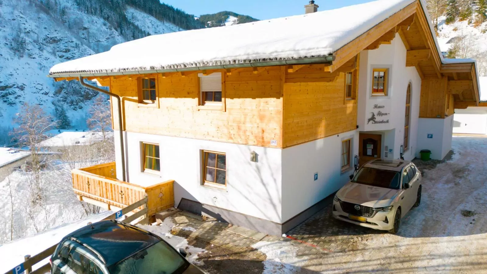 Alpensteinbock Saalbach-Exterior winter