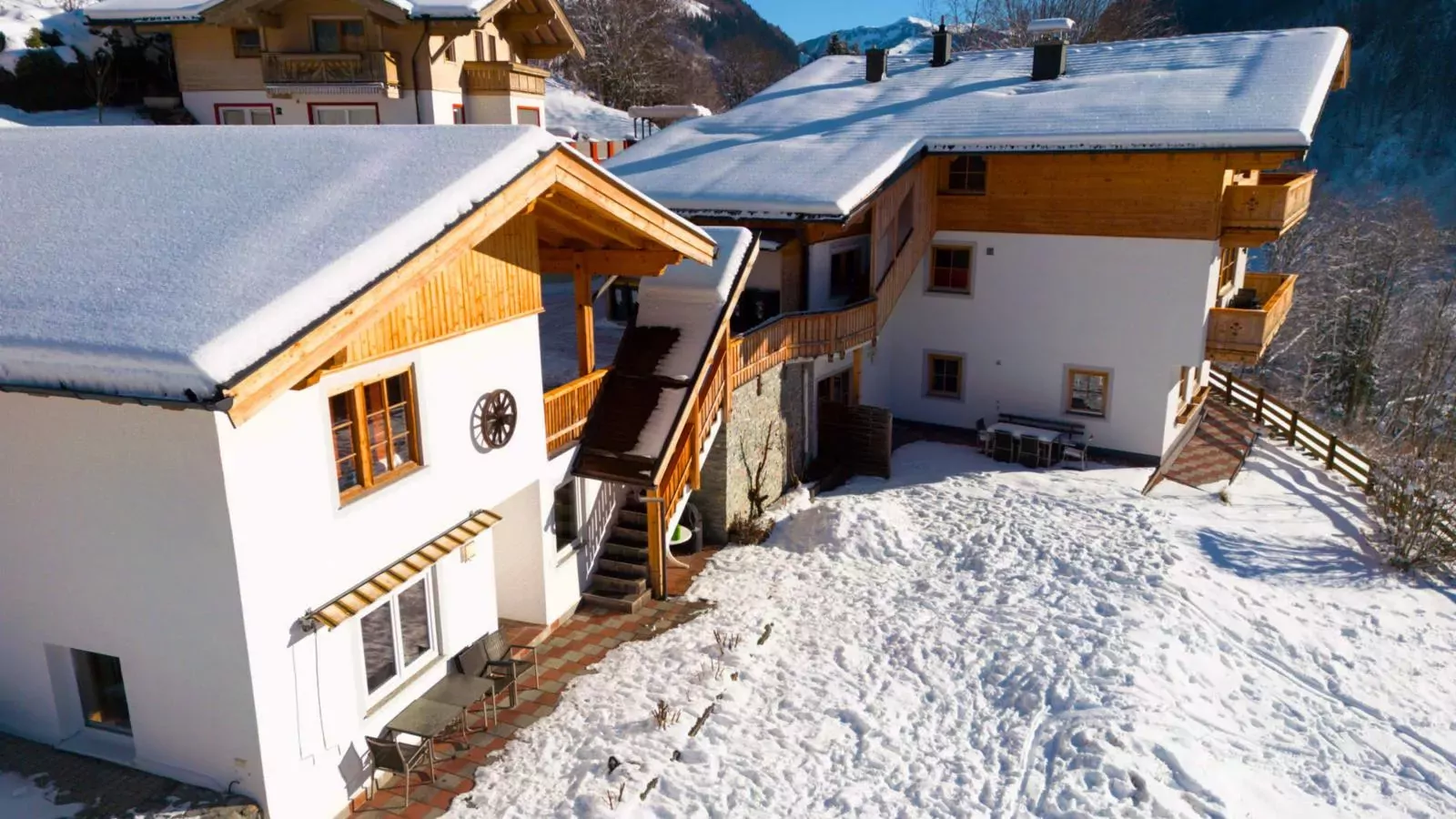 Alpensteinbock Saalbach-Exterior winter