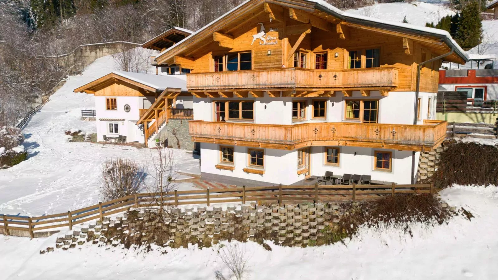 Alpensteinbock Saalbach-Exterior winter