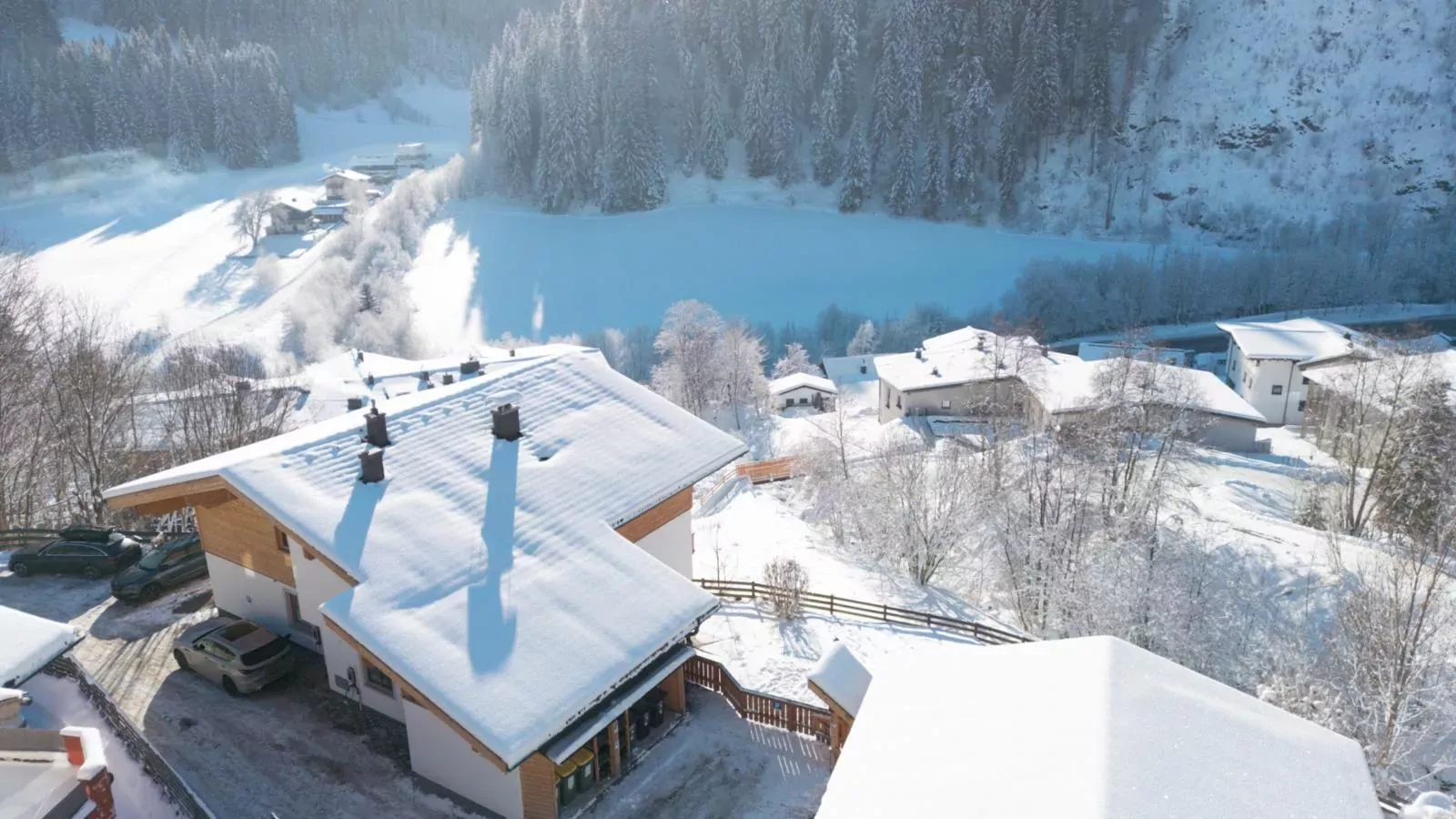 Alpensteinbock Saalbach-Exterior winter