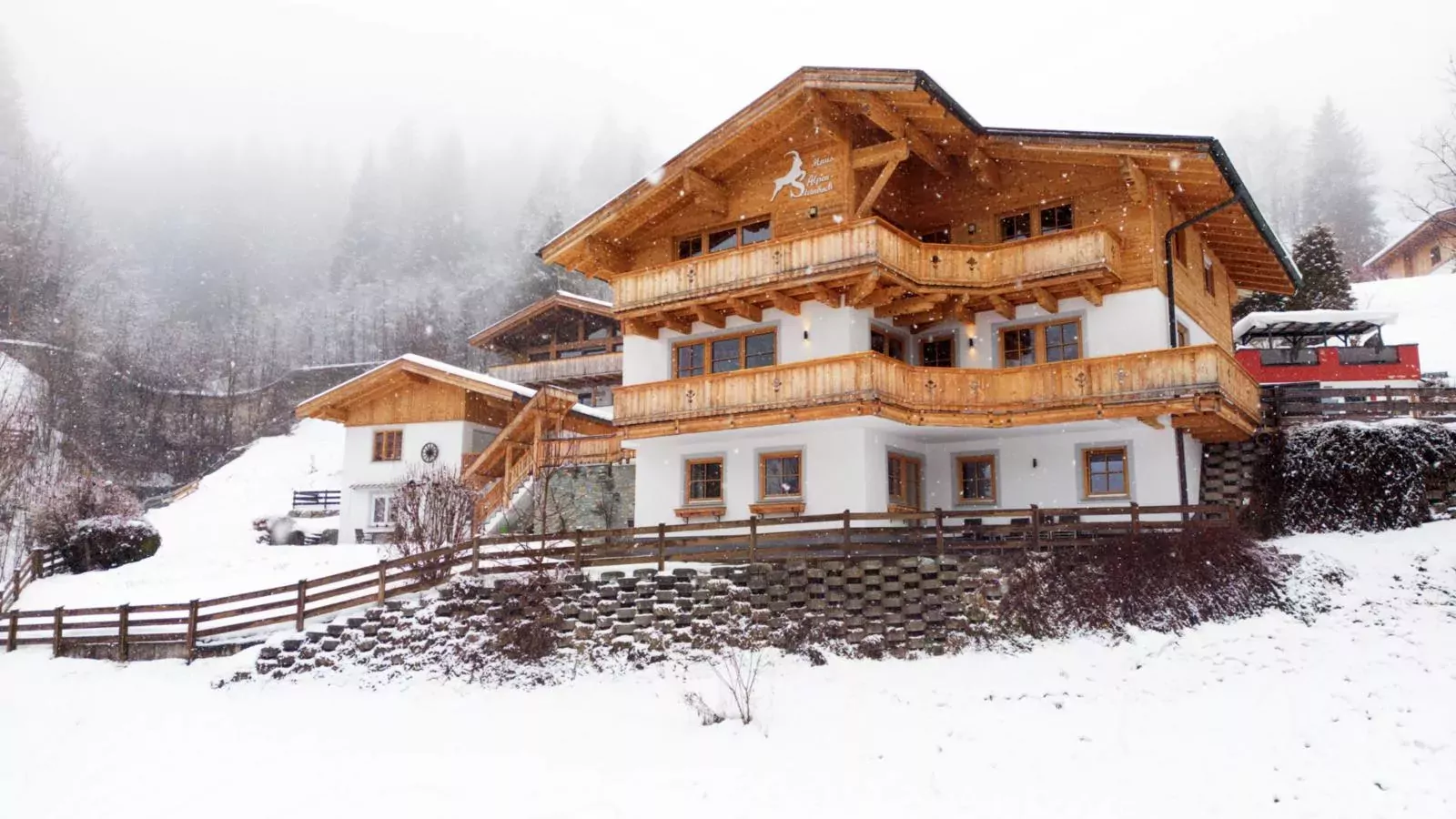 Alpensteinbock Saalbach-Exterior winter