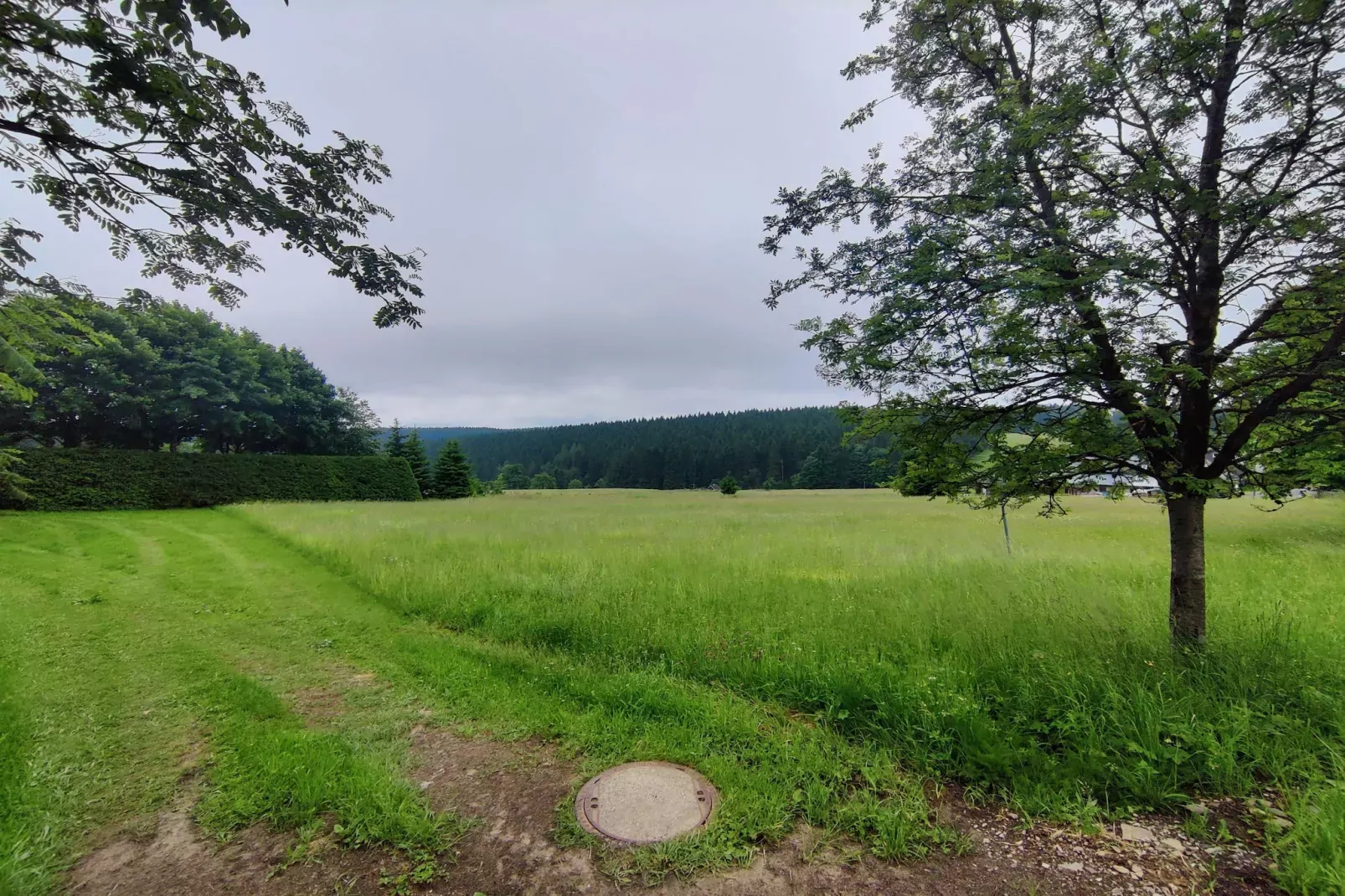 Blessberg-Gebiete Sommer 20 km