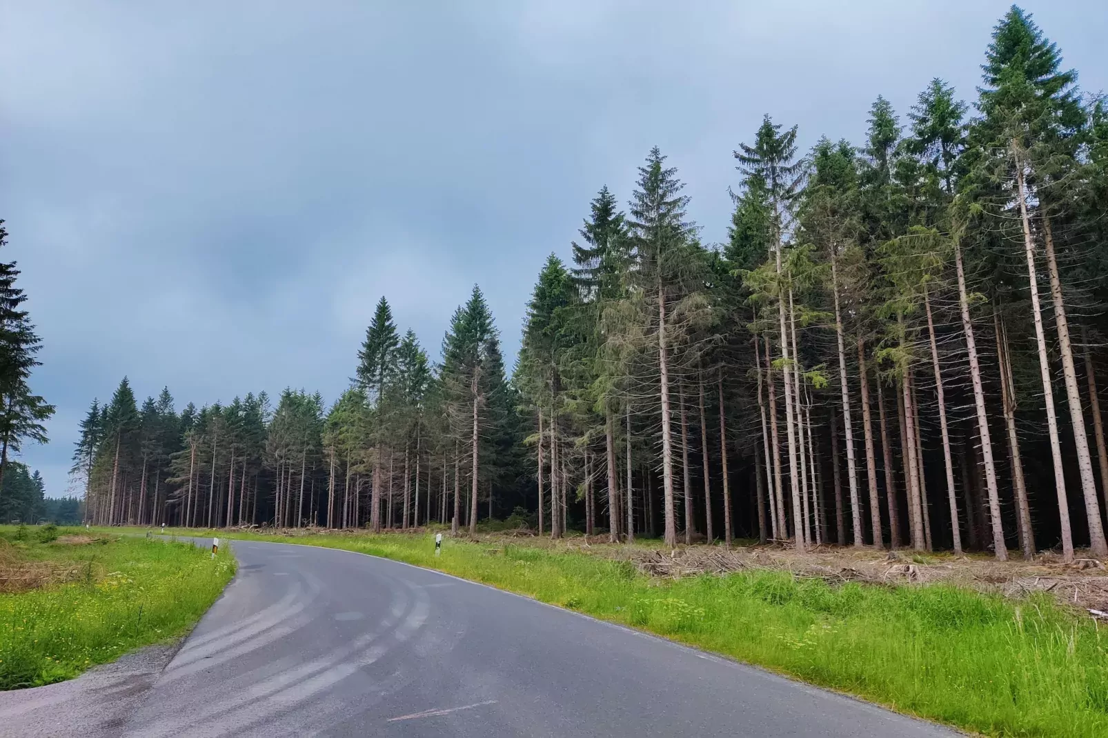 Blessberg-Gebiete Sommer 20 km