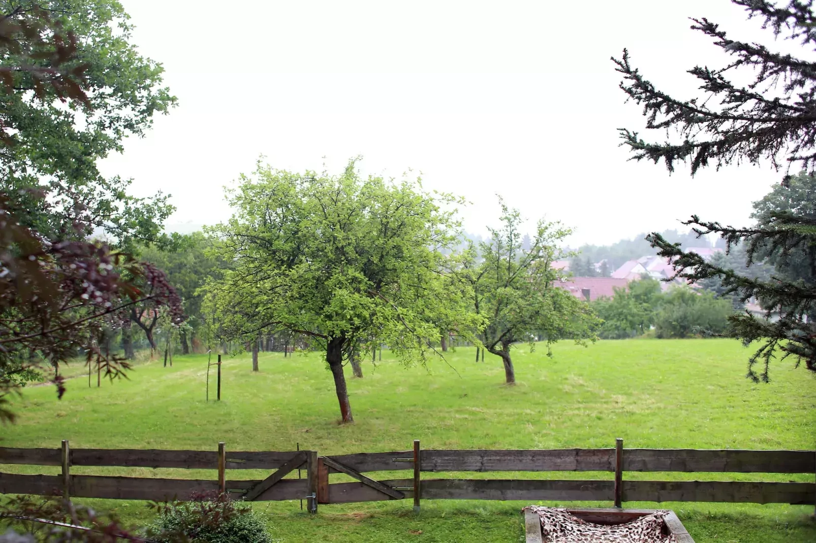 Naturstammhaus-Aussicht Sommer