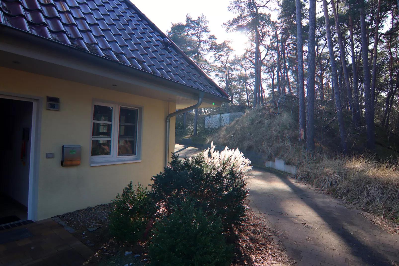 exteriorwinter
