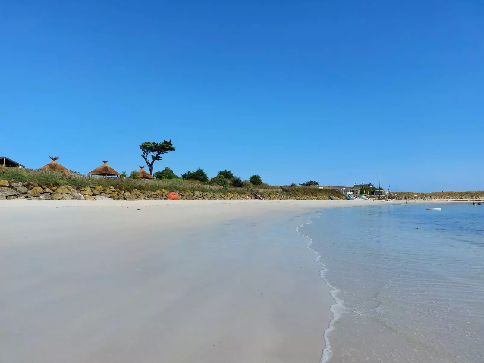 Les Chardons Bleus 2 (BRP205)-Area