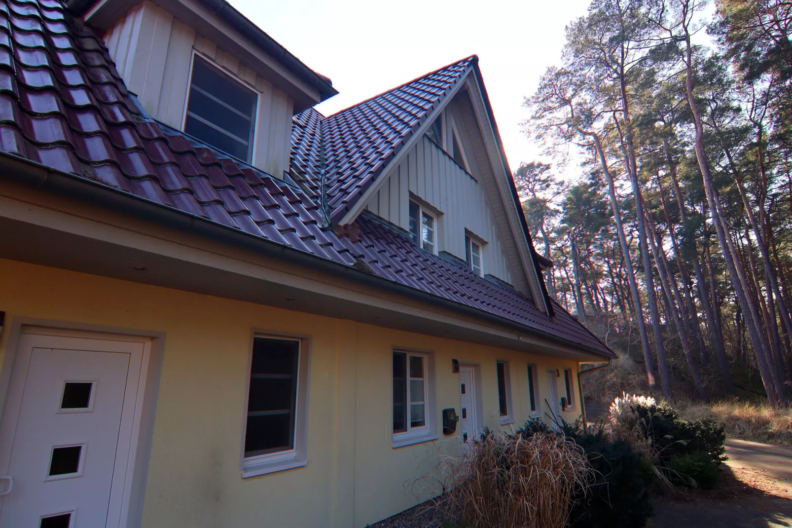 Dünenwaldhaus Rechts-Exterior winter