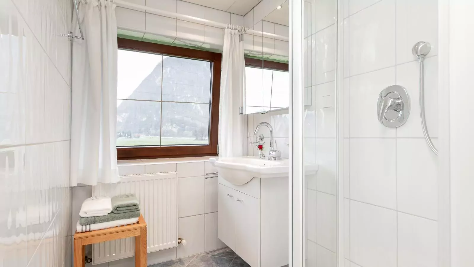 Schleicherhof IV-Bathroom