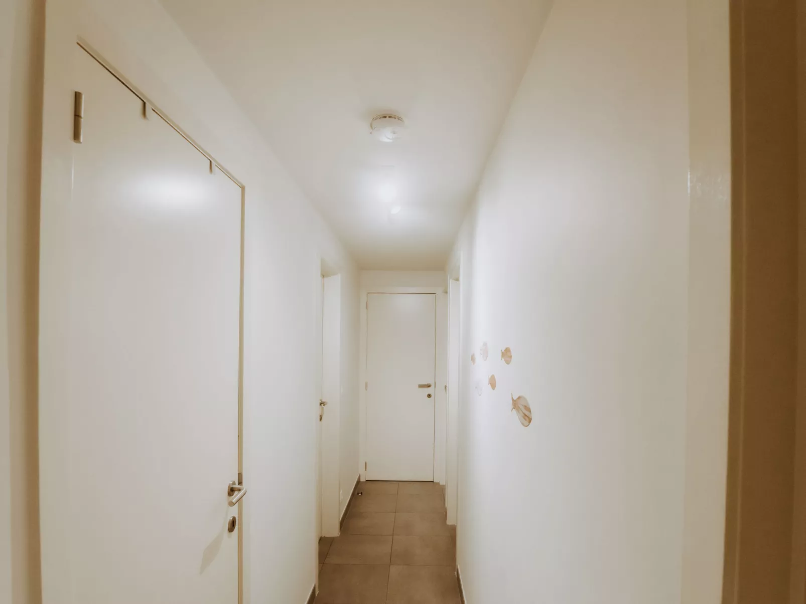 Rodenbach central but quiet-Dedans