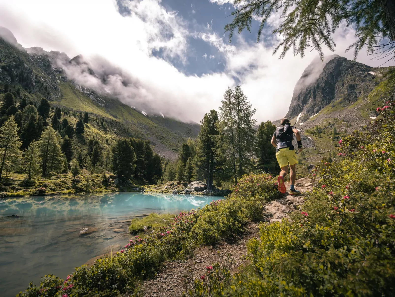Alpenrose-Area