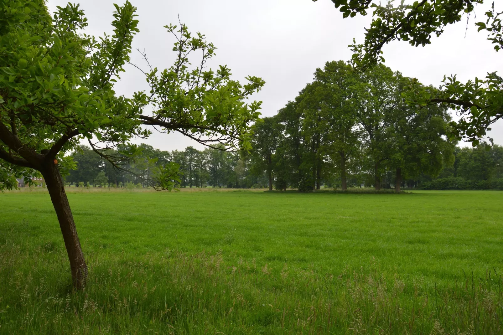 Huus in 't Hagt-Gardens summer