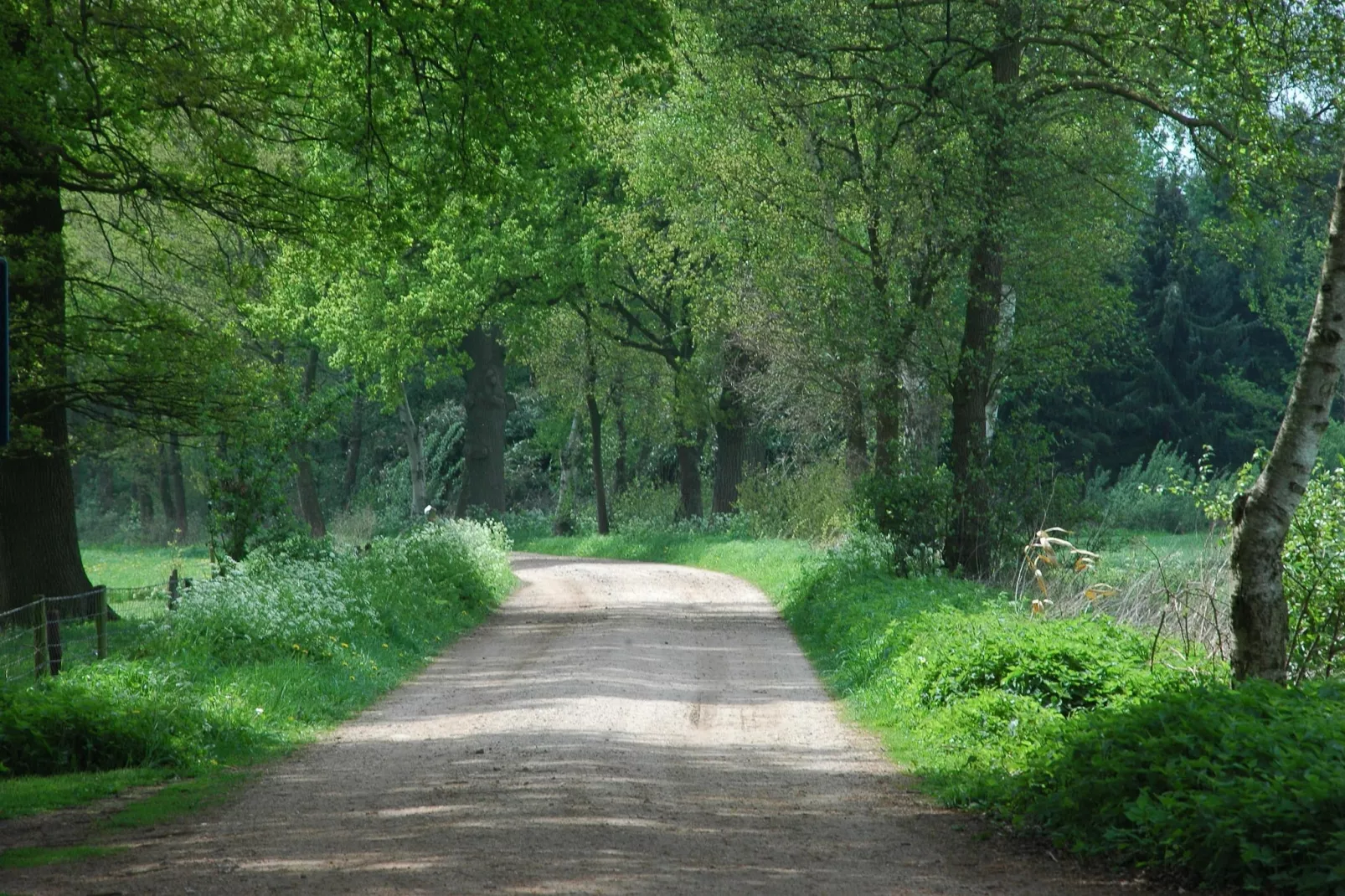 Huus in 't Hagt-Areas summer 5km