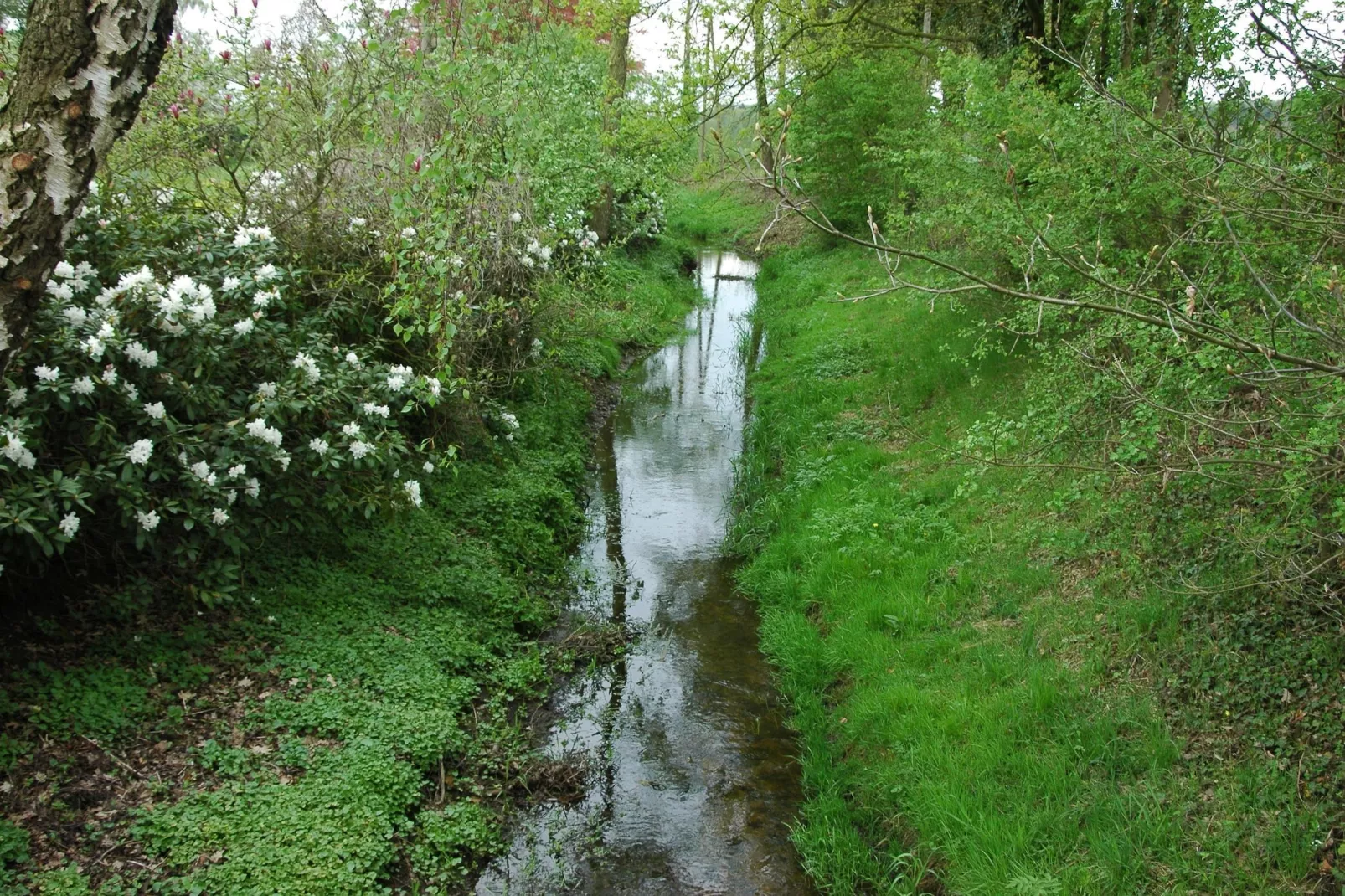 Huus in 't Hagt-Areas summer 5km
