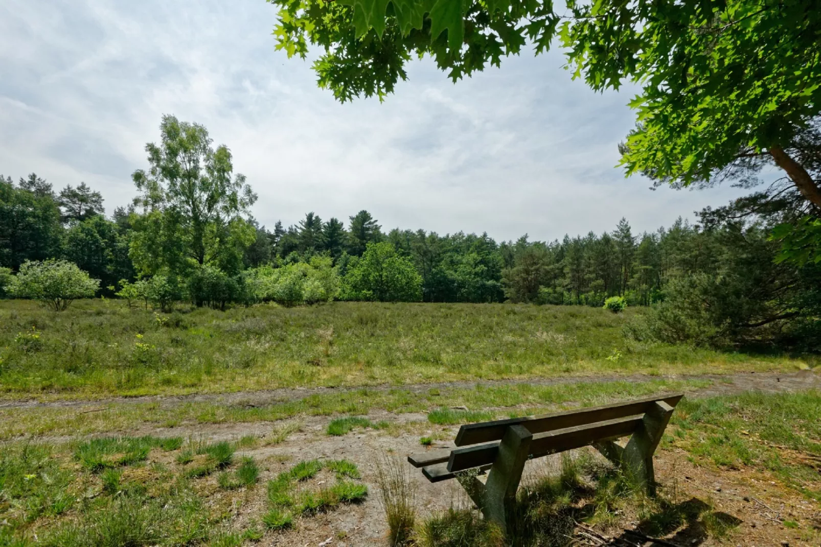 Resort De Achterhoek 19-Areas summer 1km