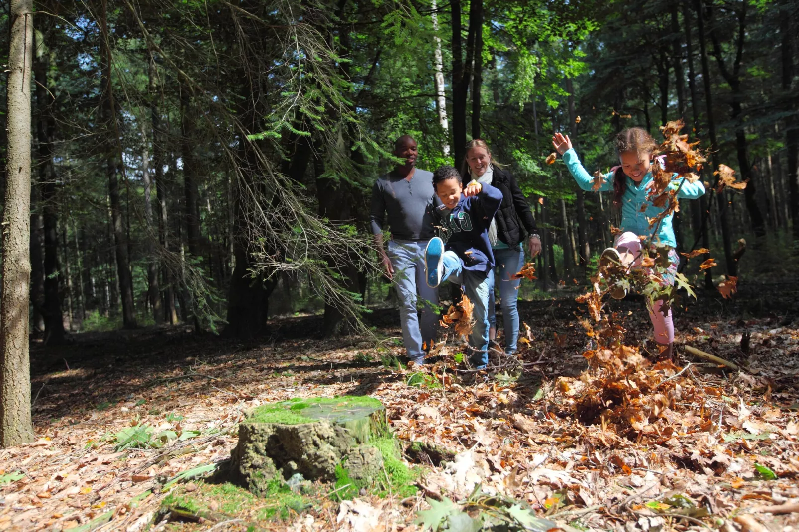 Resort De Achterhoek 19-Areas summer 1km