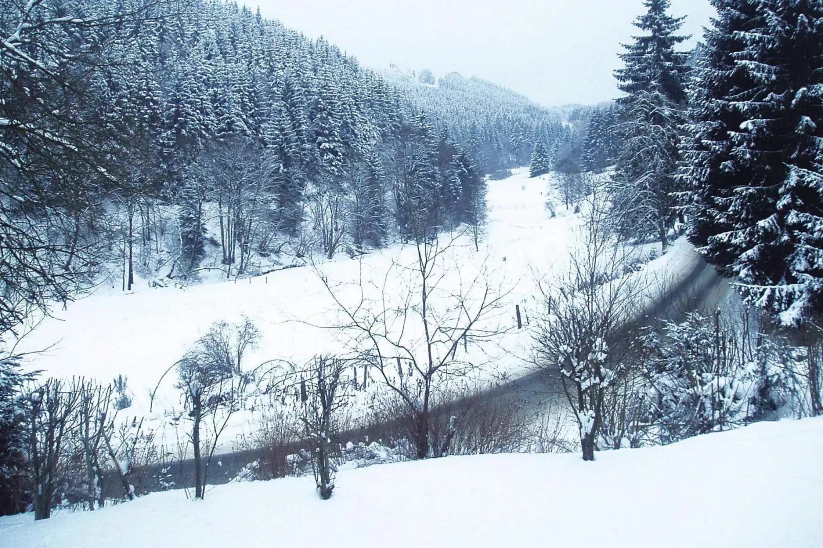 2 Raum App 4 Pers 55 qm-Area winter 5km