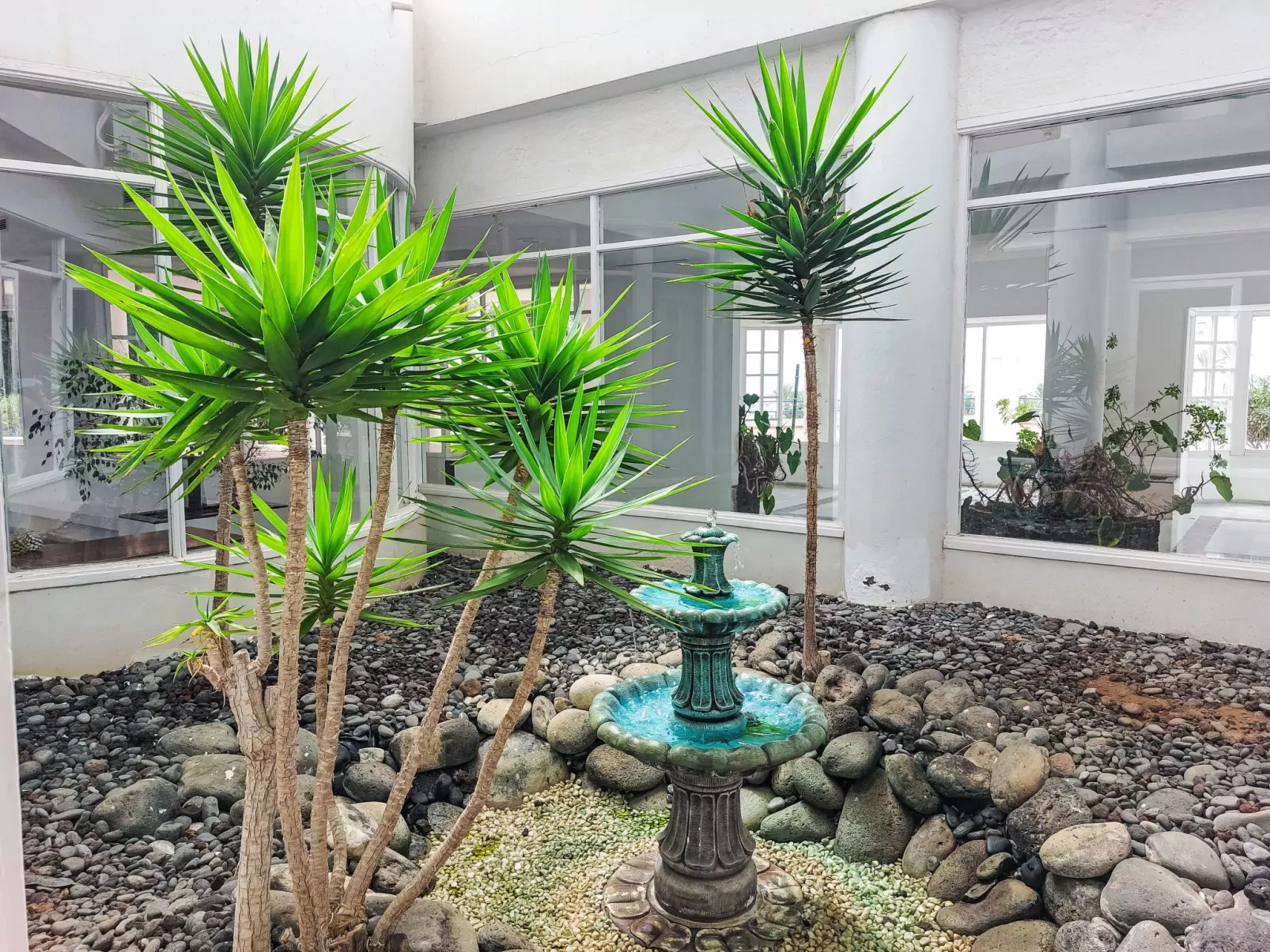 Sasemar Paradise-Outside