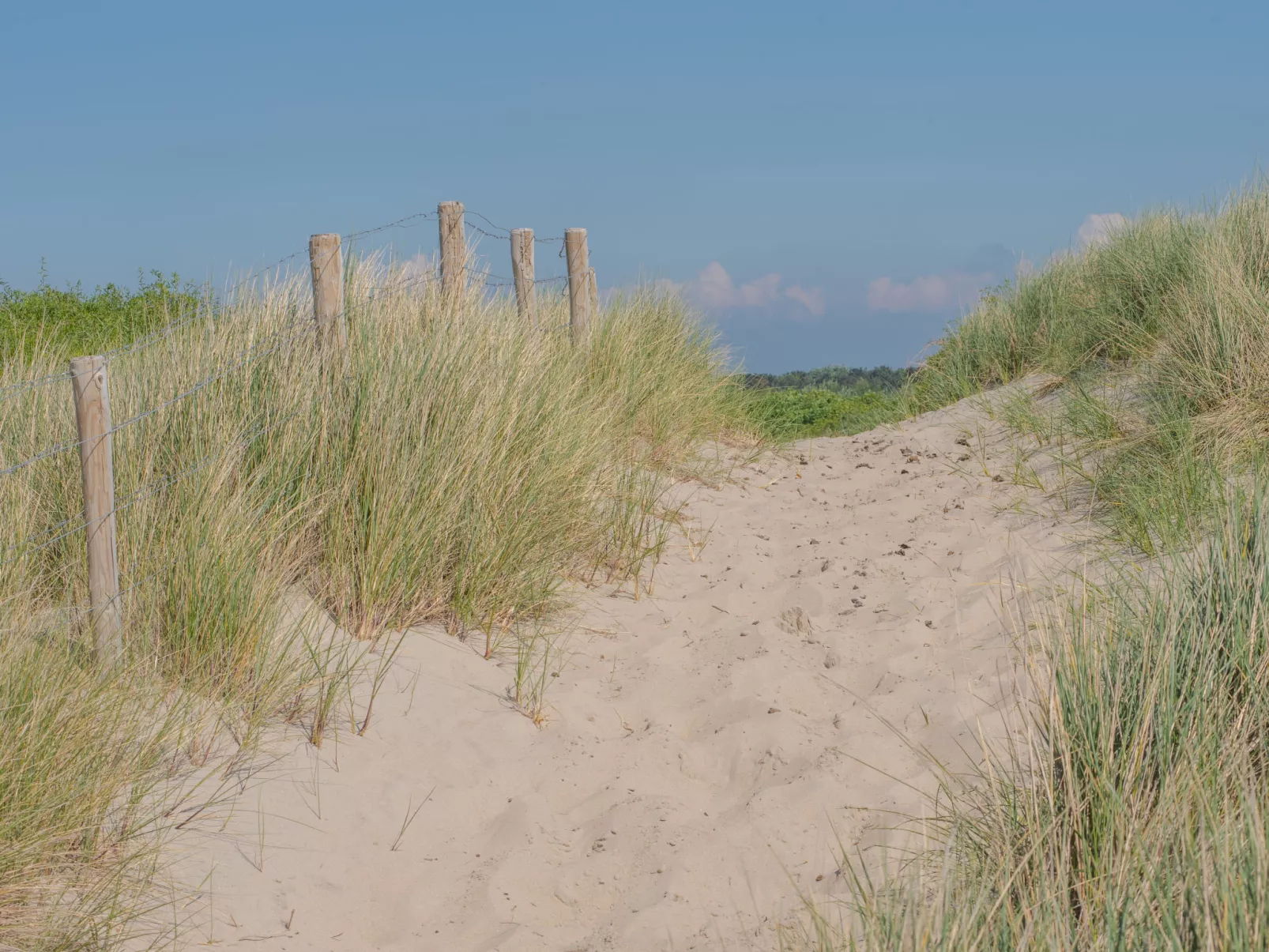 Goethe close to the beach-Draußen
