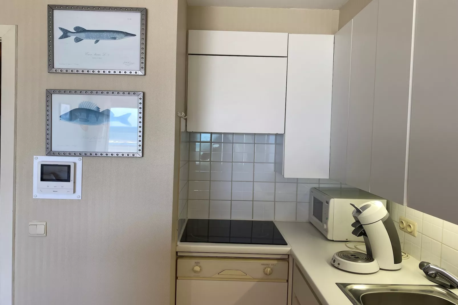 SEAWIND 502-Kitchen