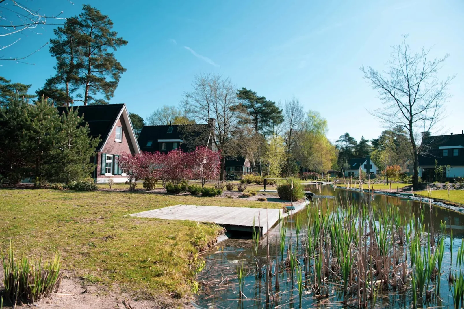 Resort De Achterhoek 20-Areas summer 1km