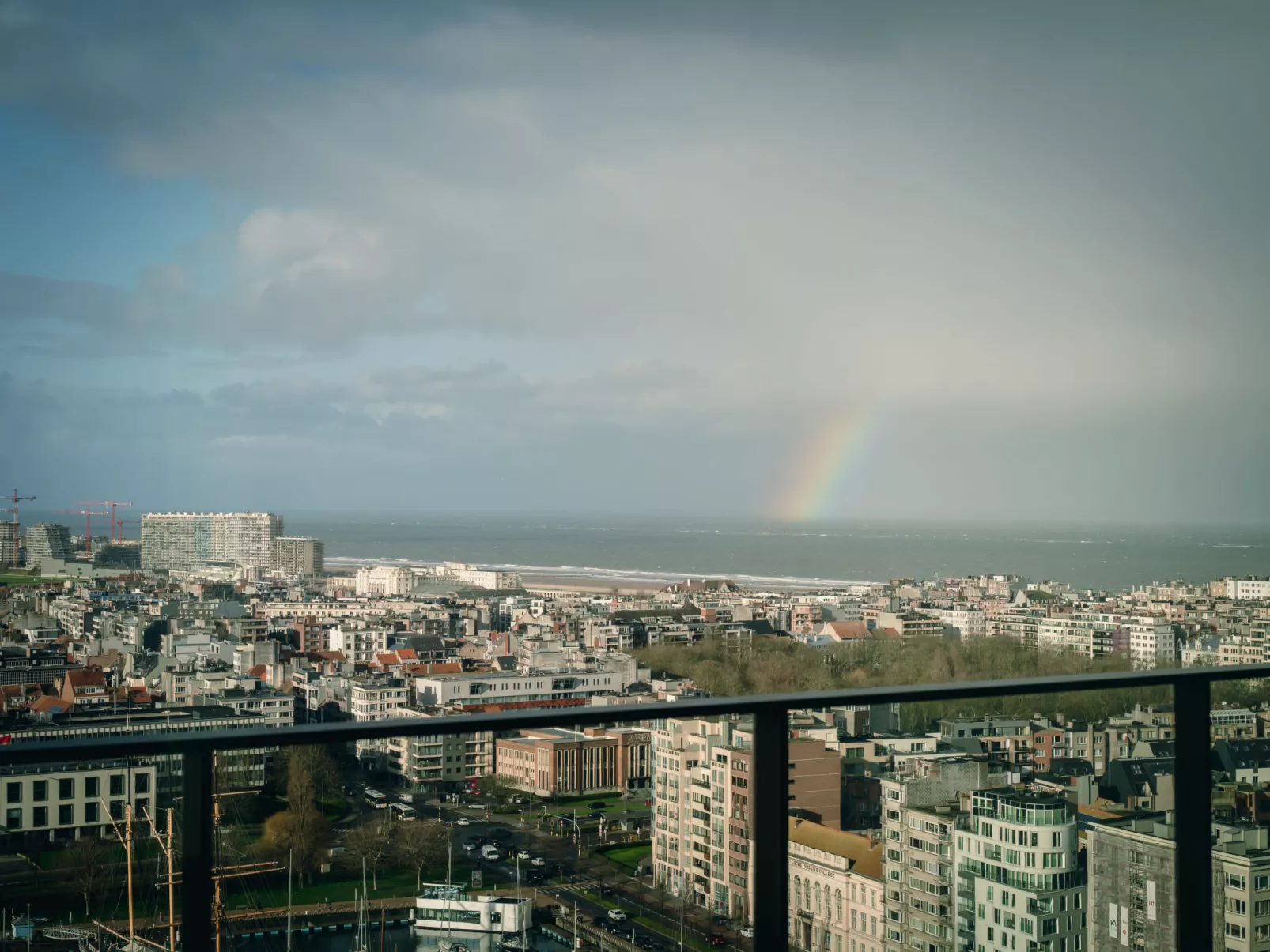 Sky Tower View-Outside