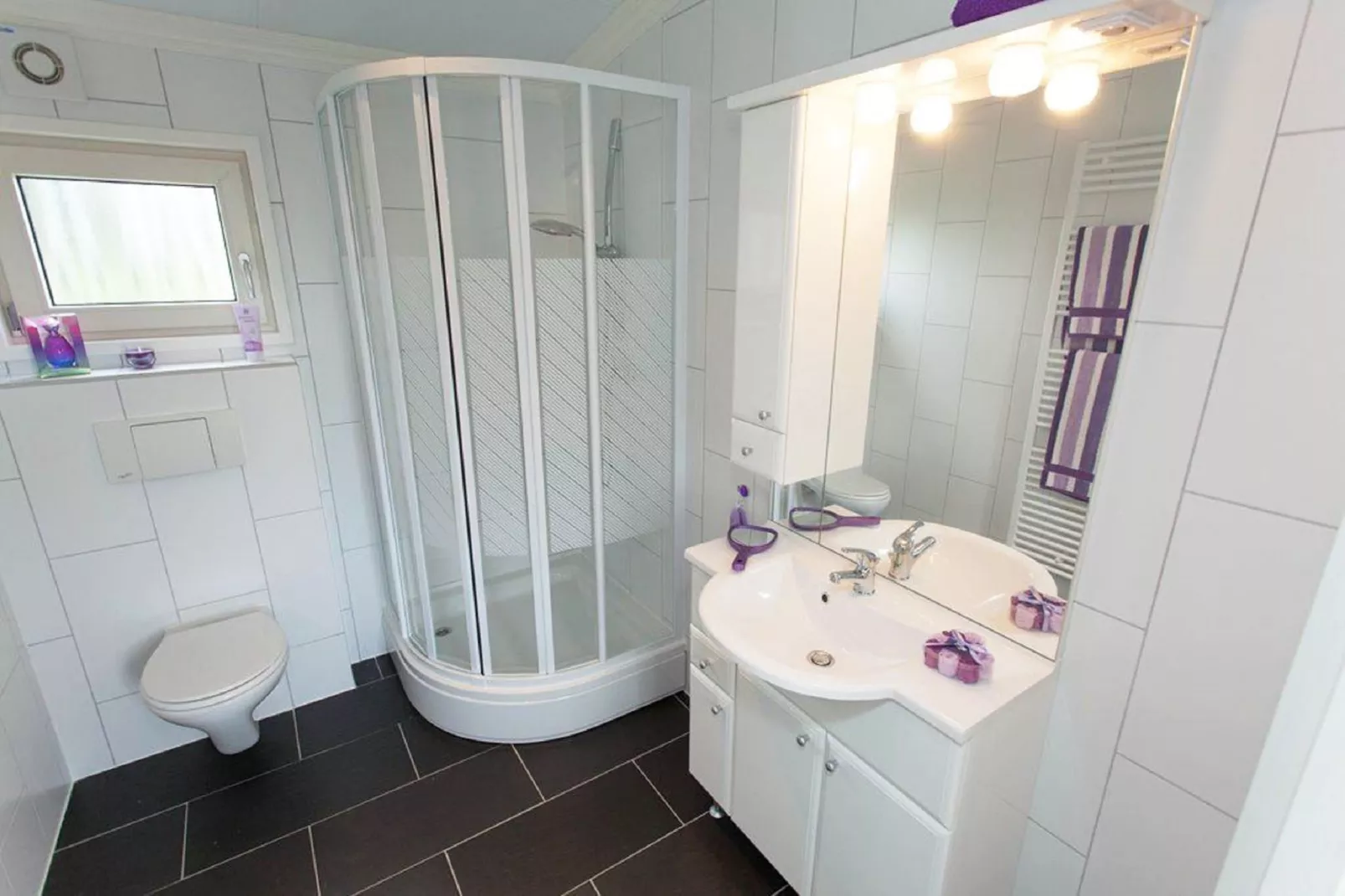 Resort De Achterhoek 23-Bathroom