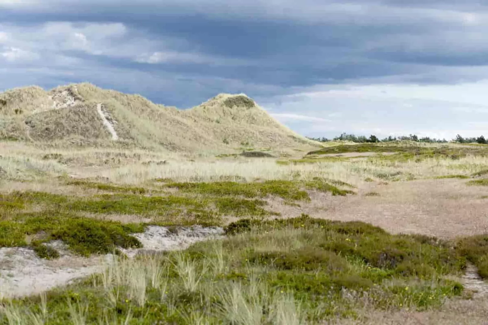 Maison de vacances pour 6 a Læsø-By Traum-Vue