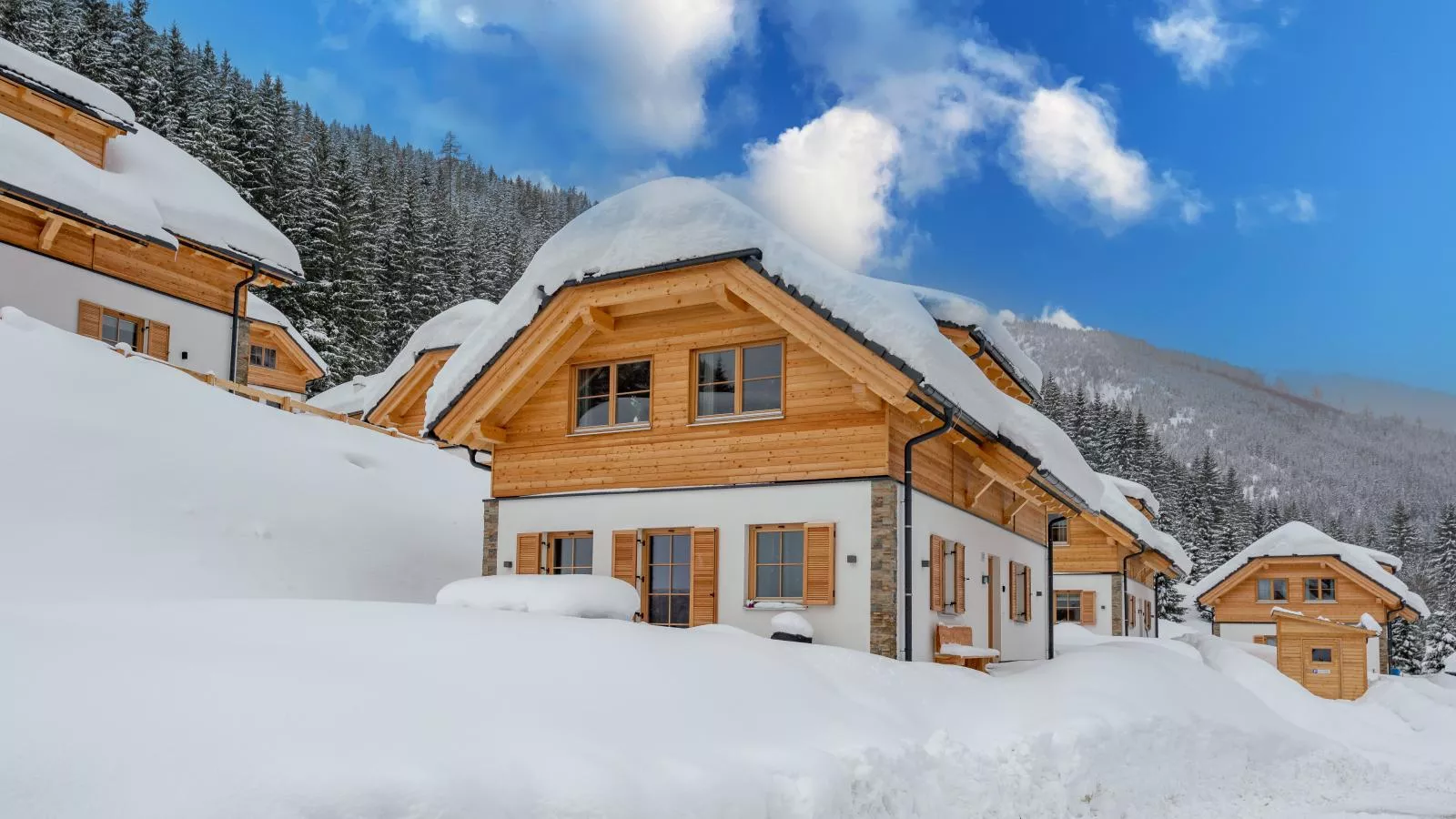 Alpenjoy Lodge-Exterior winter