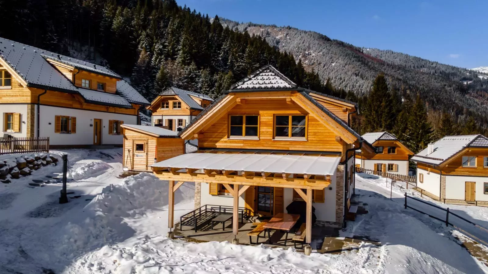 Ferienhaus Erna-Außenbereich Winter